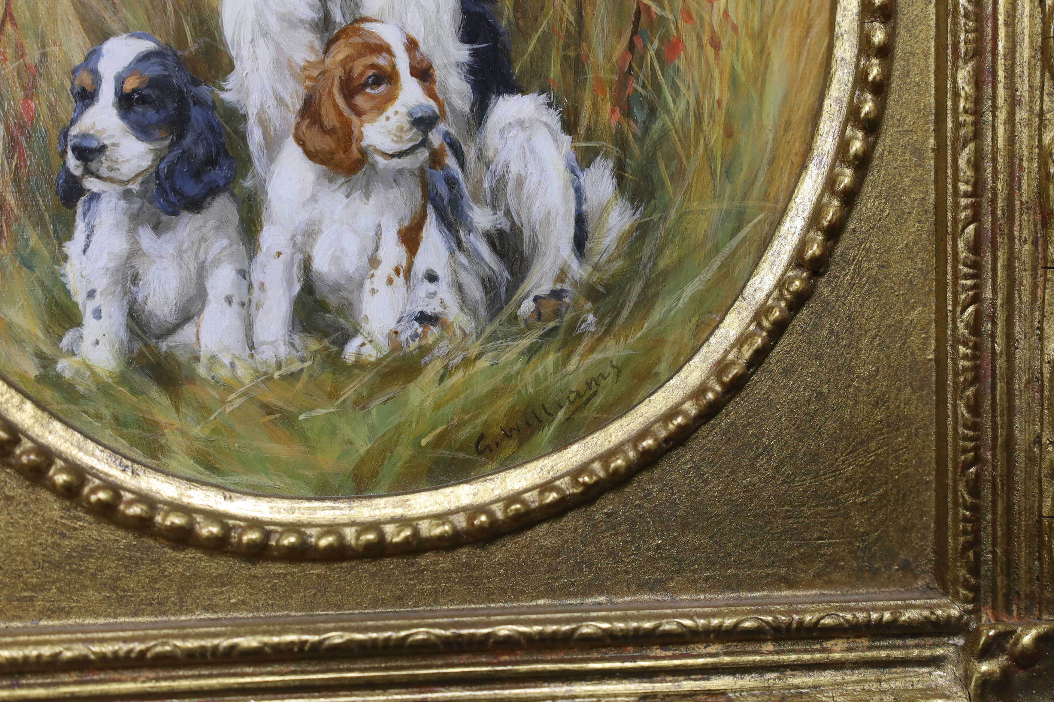 Glynn Williams, (Modern British), tondo oil on board, 'Spaniels', signed, label verso, 14.5 x 14.5cm, ornate gilt framed